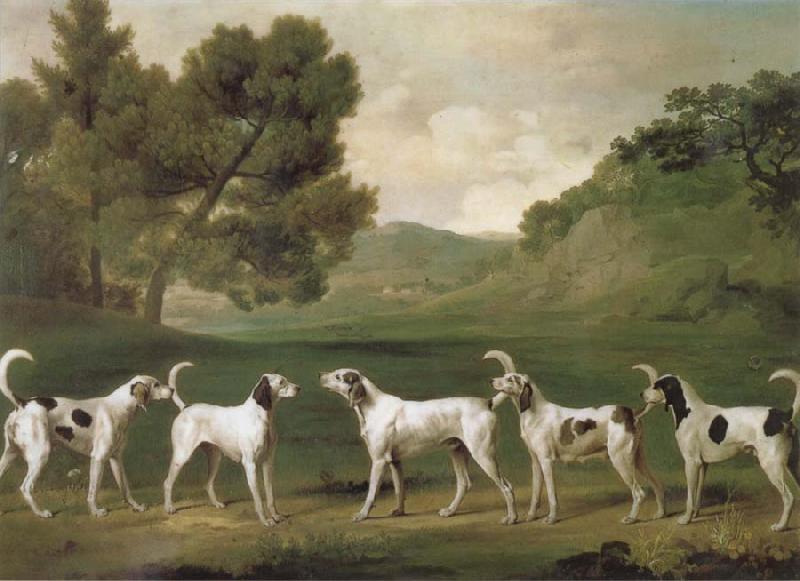 George Stubbs Some Dogs oil painting image